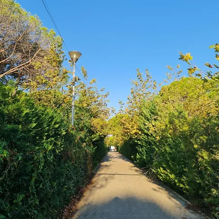 아파트 Leta's Apartments, Vacation *