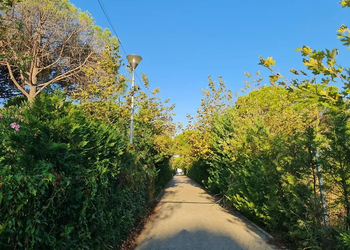 아파트 Leta's Apartments, Vacation *